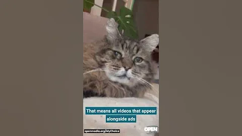 Take action against Bill C-11