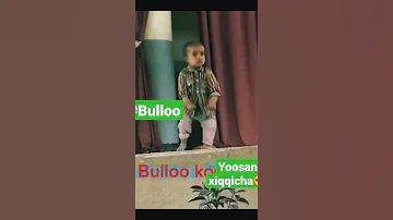 Bulloo 3obsa Ethiopianmusic Oro Yosan Getahun Must Watch Video Oromo Music 