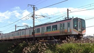 E129系B2+A24編成信越本線下り441M 長岡→新潟