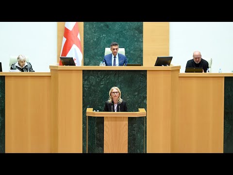 ნათია თურნავას გამოსვლა პარლამენტის პლენარულ სხდომაზე