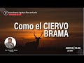 Sed de Dios /  Franklin Salas / Enseñanza para Jóvenes