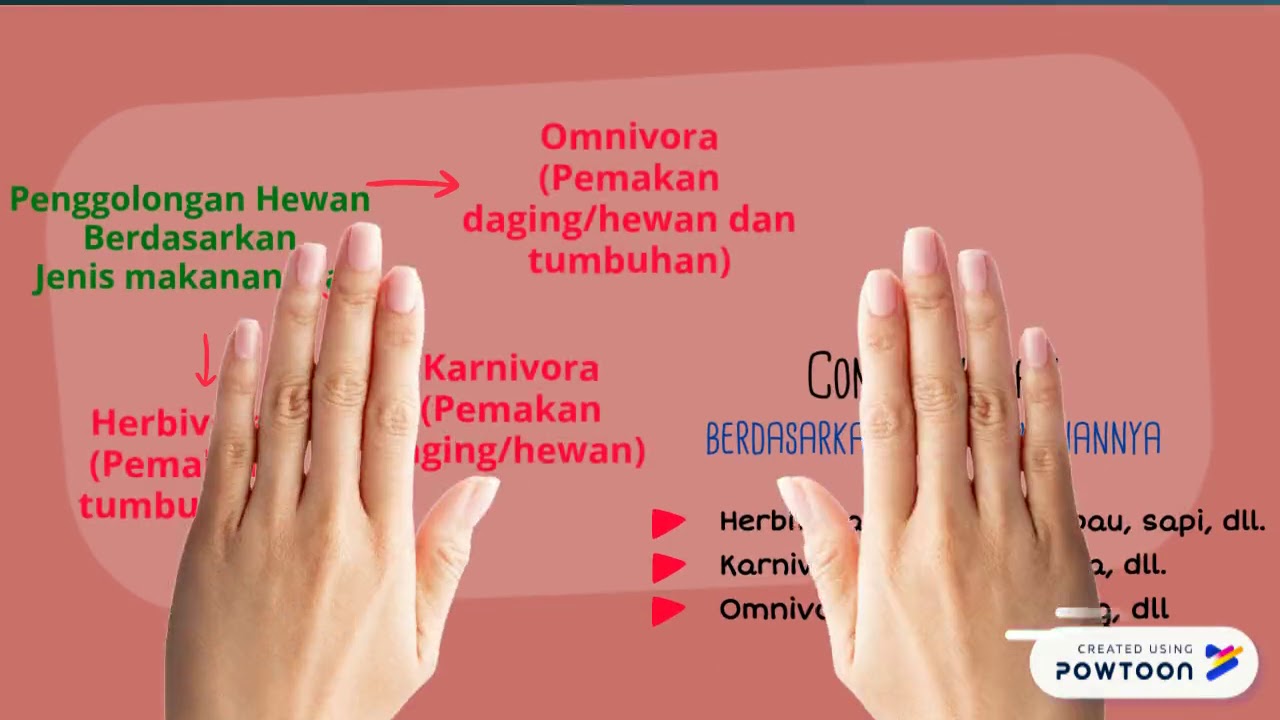 Media Penggolongan Hewan Berdasarkan Jenis Makanan 