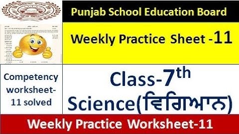 pseb competency based paper class 7th science worksheet 11 test  7th class science weekly sheet 11