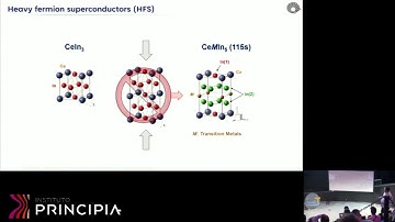 Ricardo Urbano: Beyond the Bulk: Discovering New Physics in 1D CeIn3 Structures