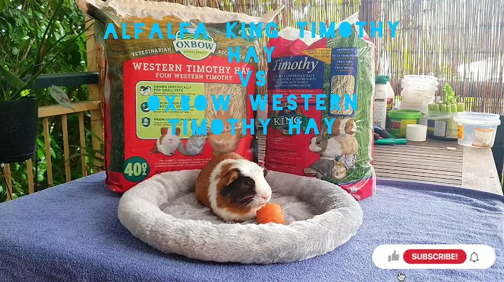 What is the difference between timothy hay and western timothy hay? (2023)