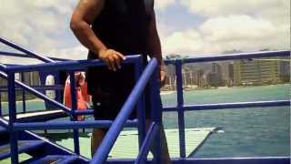 Red Dolphin,Waikiki Diving.