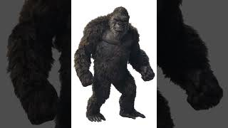 Sound Effects - Kong Monsterverse Roaring