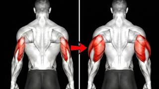 Stop Training Triceps Wrong — 5 Secrets That Actually Build the Horseshoe