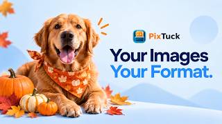 How to Download WebP Images in Chrome — Save as JPG, PNG, PDF or WebP