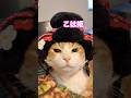 【CAT】頑張って #shorts #cats #cat #cute #猫動画 #猫 #可愛い猫 #かわいい猫