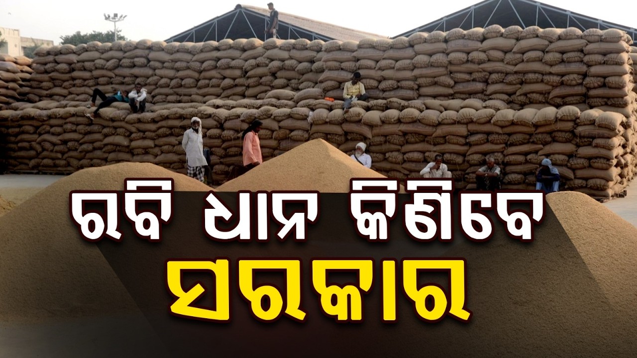 ଧାନ କିଣିବେ ସରକାର.. | Government To Procure Rabi Paddy From May | Argus News