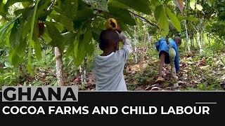 Why is the cocoa industry still using child workers in Ghana?