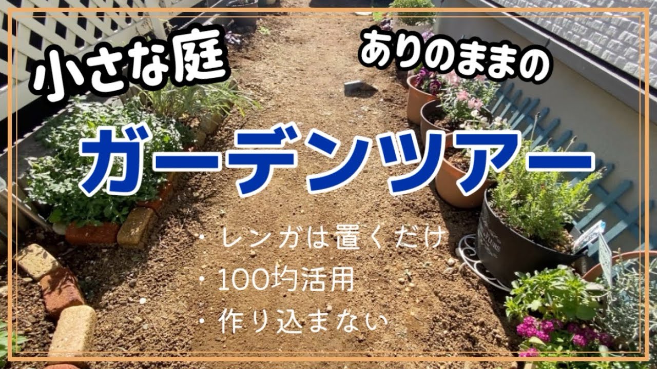 小さな庭の花壇紹介🌱レンガと石を置いただけの花壇。作り込まないのがポイント⁉️
