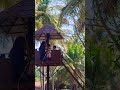adventure park