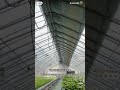 China's Big Greenhouse Shed to grow crops in the cold North China winter