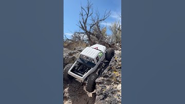 The #gladiusxl wasn’t even phased Like&Sub4more #scx24 #rccrawler #jconcepts #wtmicro #axial #rc