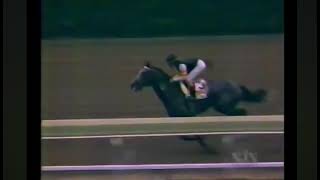 1994 Haskell: Holy Bull Rules Monmouth Park