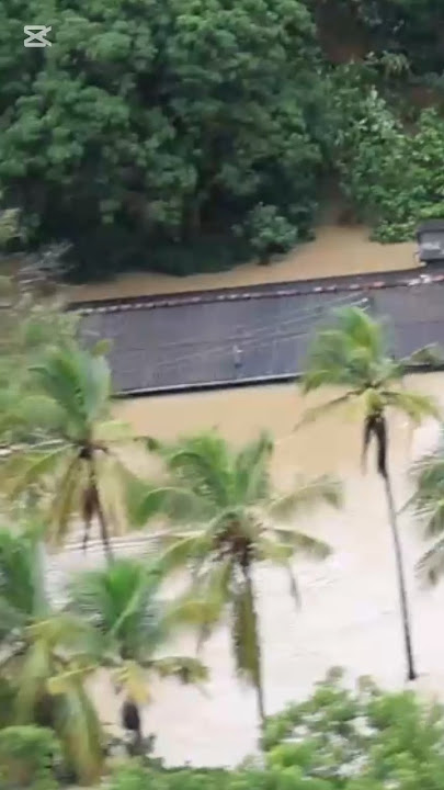 'දිට්වා' ලංකාවට කල විපතේ තරම 😪 #srilanka #weather #shortvideo