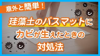 【意外と簡単！】珪藻土のバスマットにカビが生えたときの対処法 - くらしのマーケット