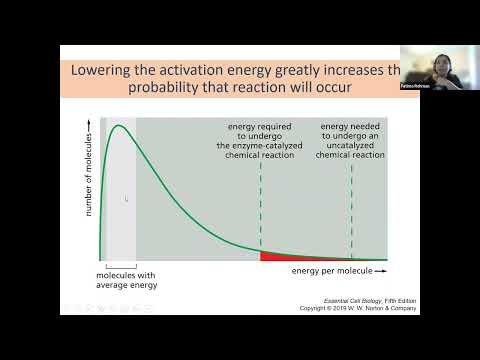 Energy, Catalysis and Biosynthesis