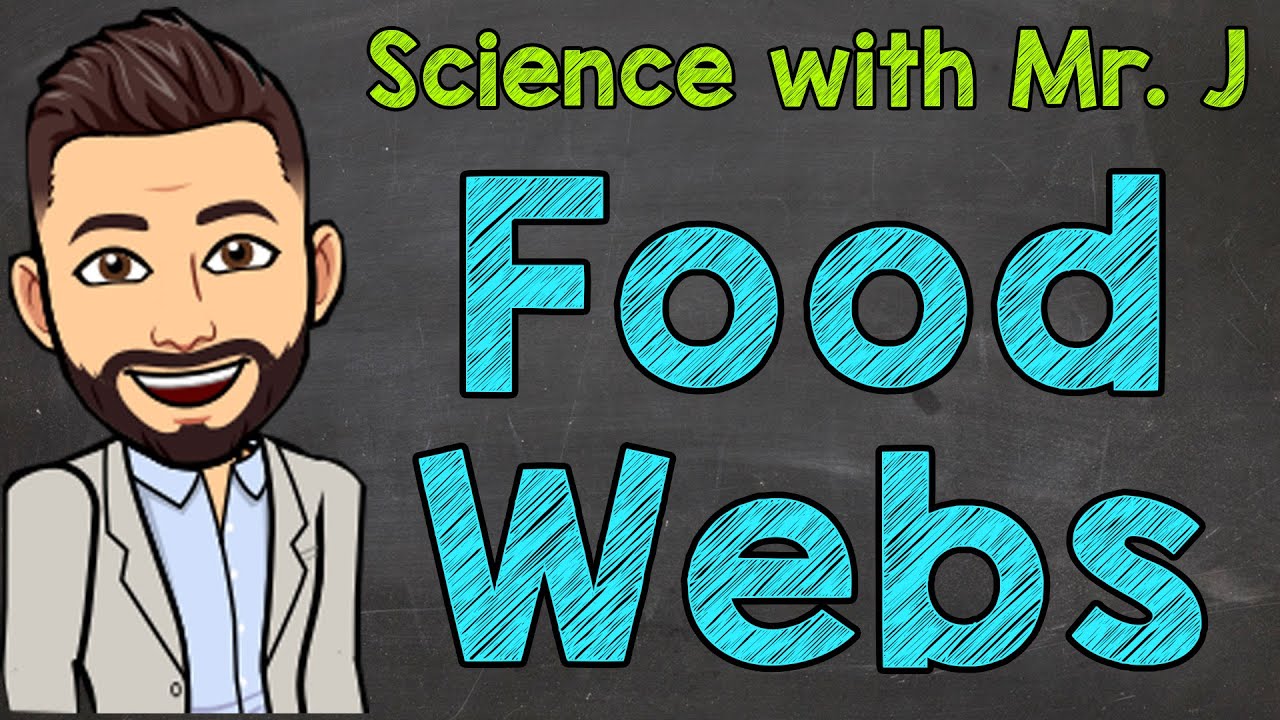 Food s What are Food s? YouTube