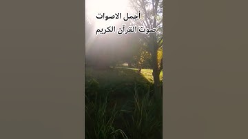 قران كريم بصوت جميل للشيخ #القارئ ماهر المعيقلي 😍🌹 #المصحف #اكسبلور #music #راحة_نفسية #الرحمن