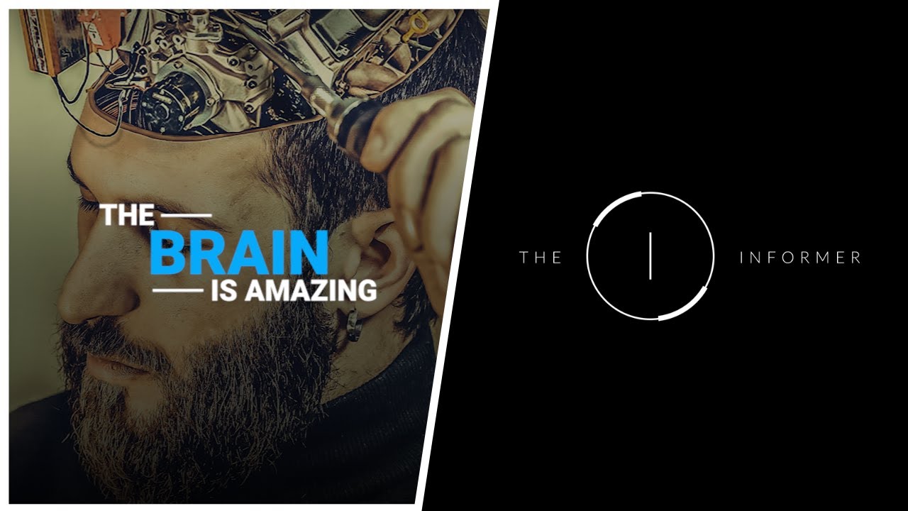 Amazing Facts You Didn't Know About Your Brain - YouTube