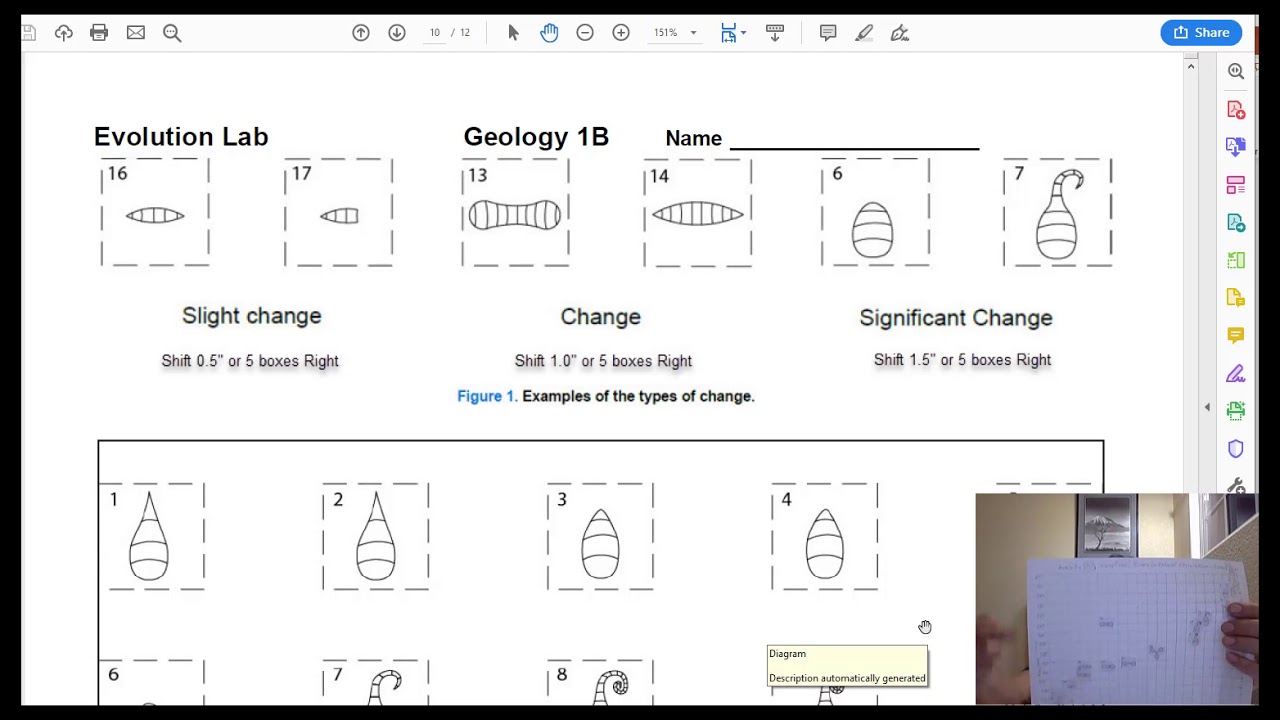 Evolution lab part02 - YouTube