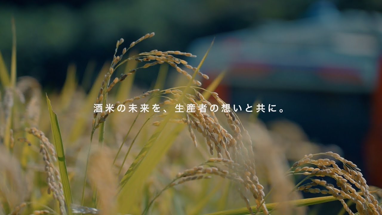 director、結婚式