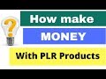 Online Money Plr Report Online Money Plr Report