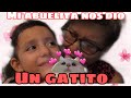 NOS REGALO UN GATITO MI ABUELITA / CANCIÓN  MI GATITA / VIDEOS HERMANITAS CARDENA