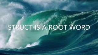 Celebrity 2016-2017 Struct Root Word Net Worth