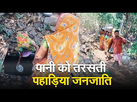 भीषण गर्मी में बूंद-बू्ंद पानी को तरस रही पहाड़िया जनजाति, ऐसा पानी पीने को हैं मजबूर