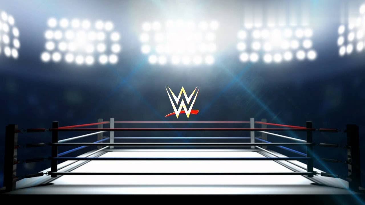 wwe ring fighting