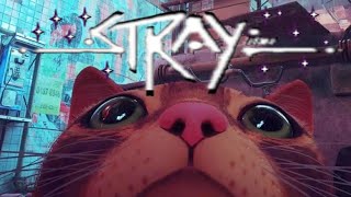 Living The Furries Dream in Stray Vod