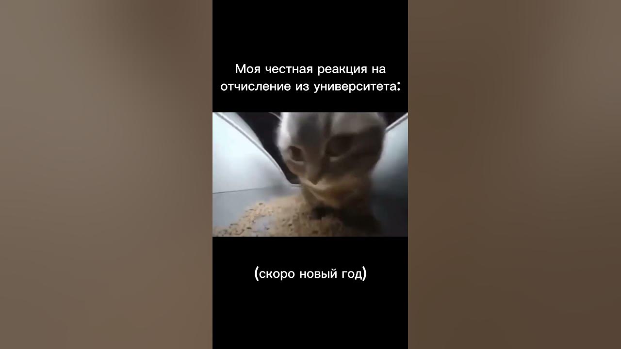 правда я должен универу кучу бабла, но да ладно #отчисление #универ # ...