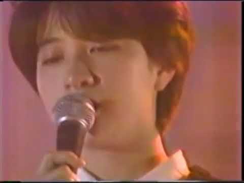 オールナイターズ   シーサイド・メモリー