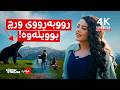 Kolare کۆلارە چاوان فەرەیدوون بە بووکی دەبەن گەشتێکی پڕ سەرکێشی 
