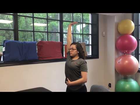 DESKERCISE! How To Battle Poor Posture At Work - Kaizo Health