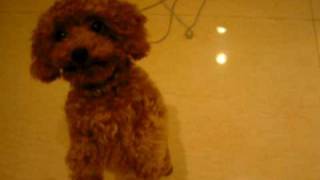 MVI_0037.AVI