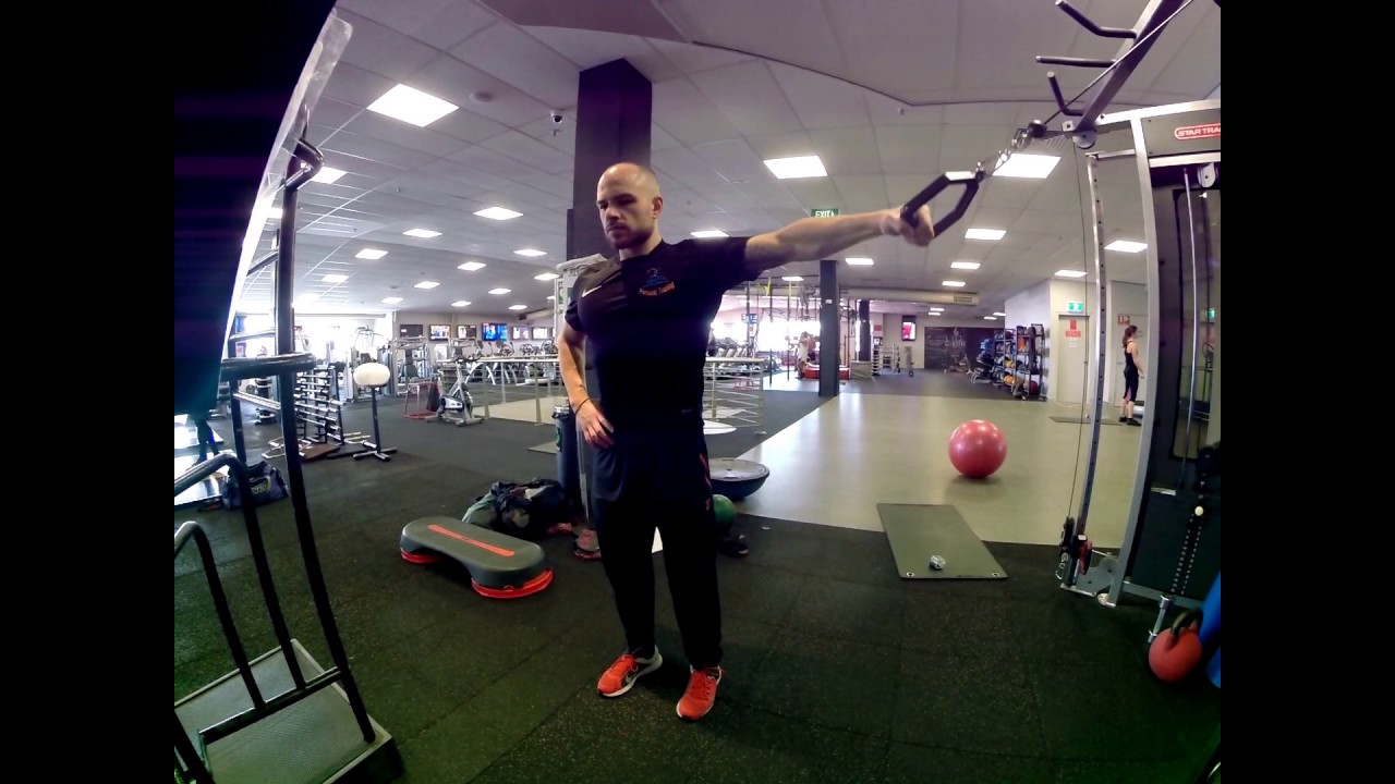 Single Arm Standing Cable Adduction YouTube