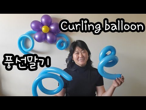 풍선아트 balloon( 풍선말기)Curling  balloon