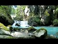 Musik Relaksasi Terapi Otak Suara Alam Full, Relaksasi Tidur, Insomnia, Susah Fokus dan Stress