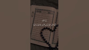 سورة البقرة الآيات 166 - 169 #المصحف #اكسبلور #قران