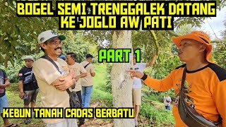 Download Lagu 🟠🟠 PART 1 ‼️ SEMI-NUDE DURIAN FARMER IN TRENGGALEK 🌳🌳✔️ MP3