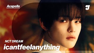 Nct Dream – Icantfeelanything | Acapella