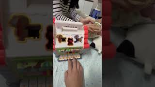 IMG 6323