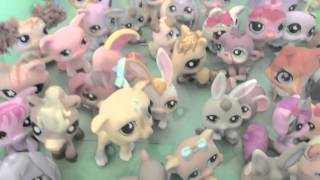 Lps World Intro Old