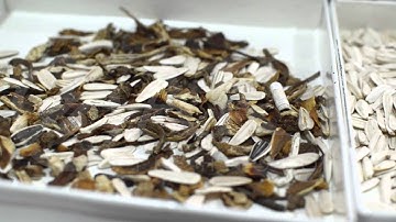 Labsorter Color Sorting Machine - AKY Technology