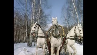 Три Белых Коня (Из К/Ф Чародеи, 1982 Год)